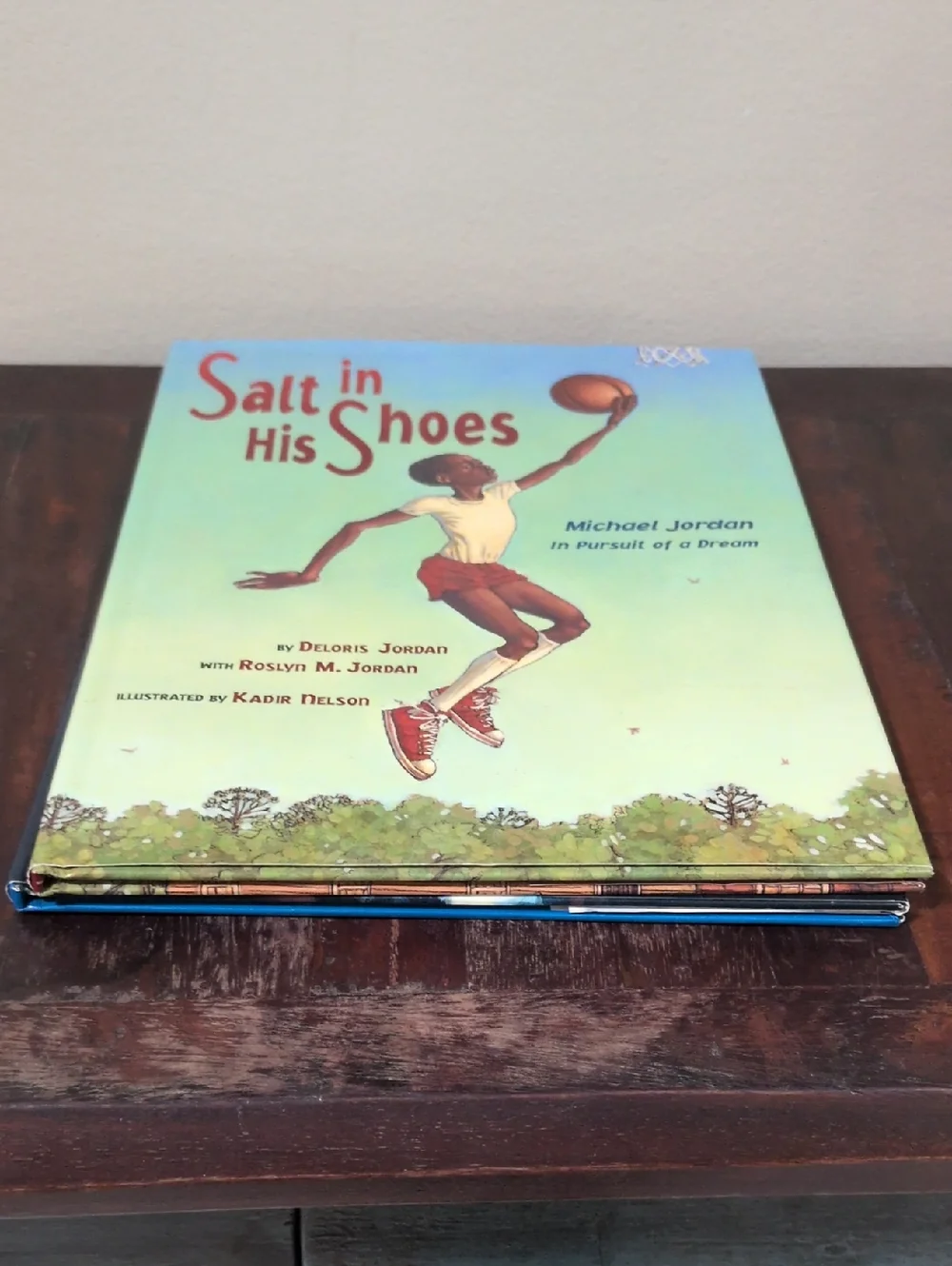 Vintage Children's Literature Set of 2 Nonfiction Hardback Books Michael Jordan